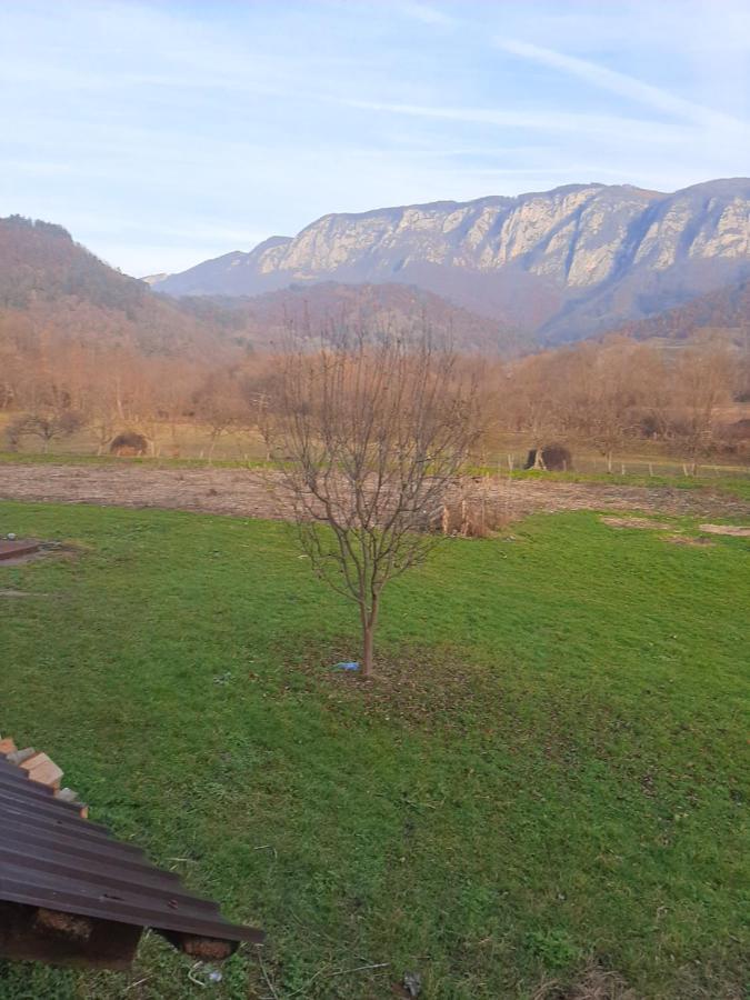 Pensiunea Codru Sălciua de Jos Exterior photo