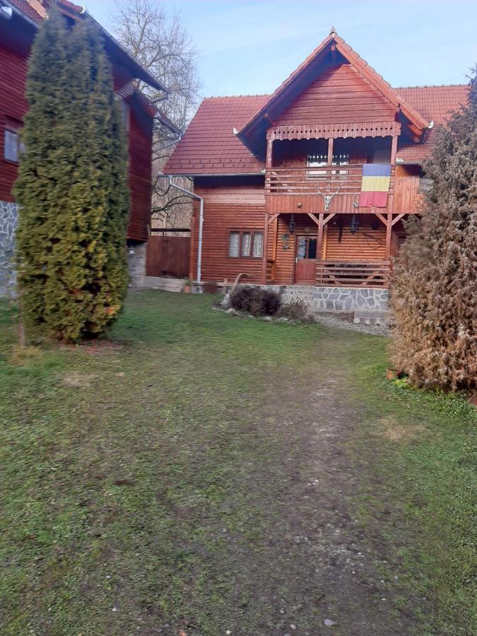 Pensiunea Codru Sălciua de Jos Exterior photo