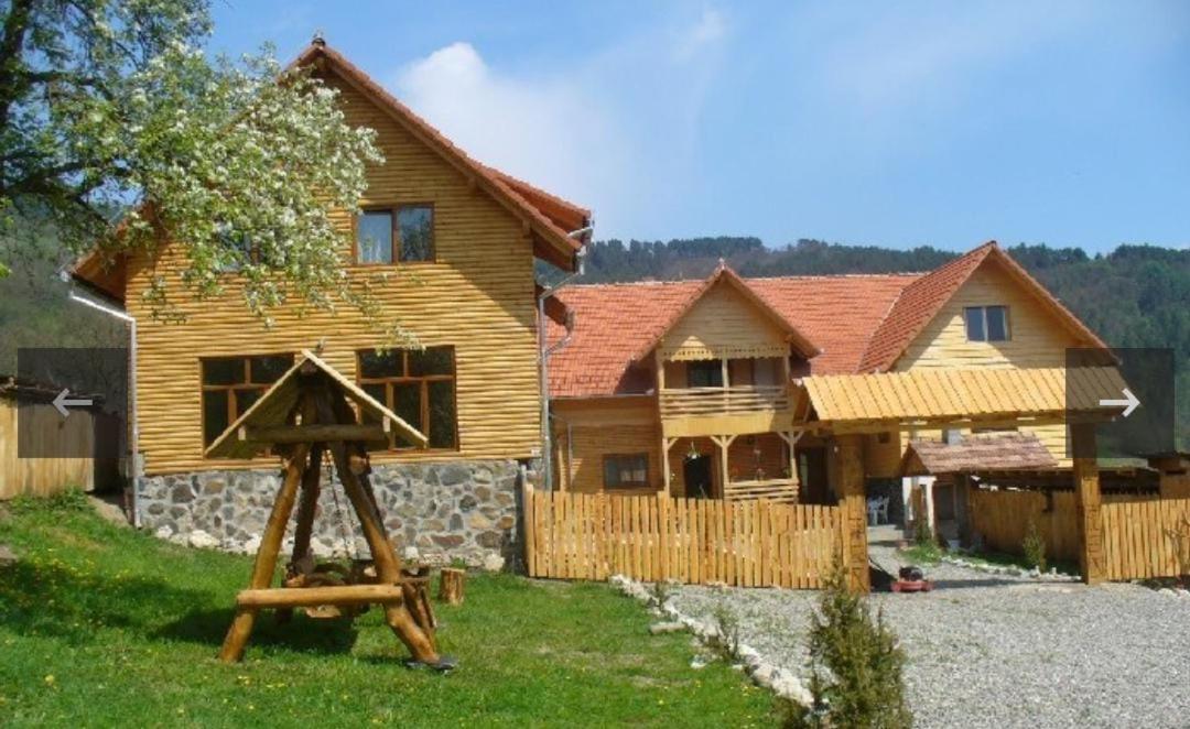 Pensiunea Codru Sălciua de Jos Exterior photo