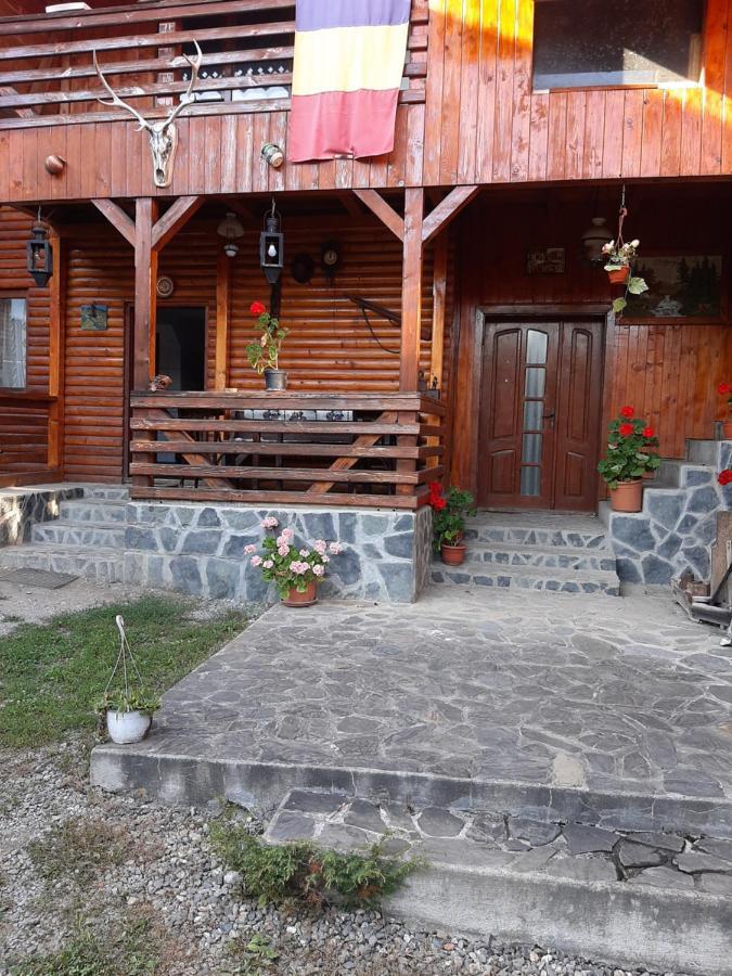 Pensiunea Codru Sălciua de Jos Exterior photo