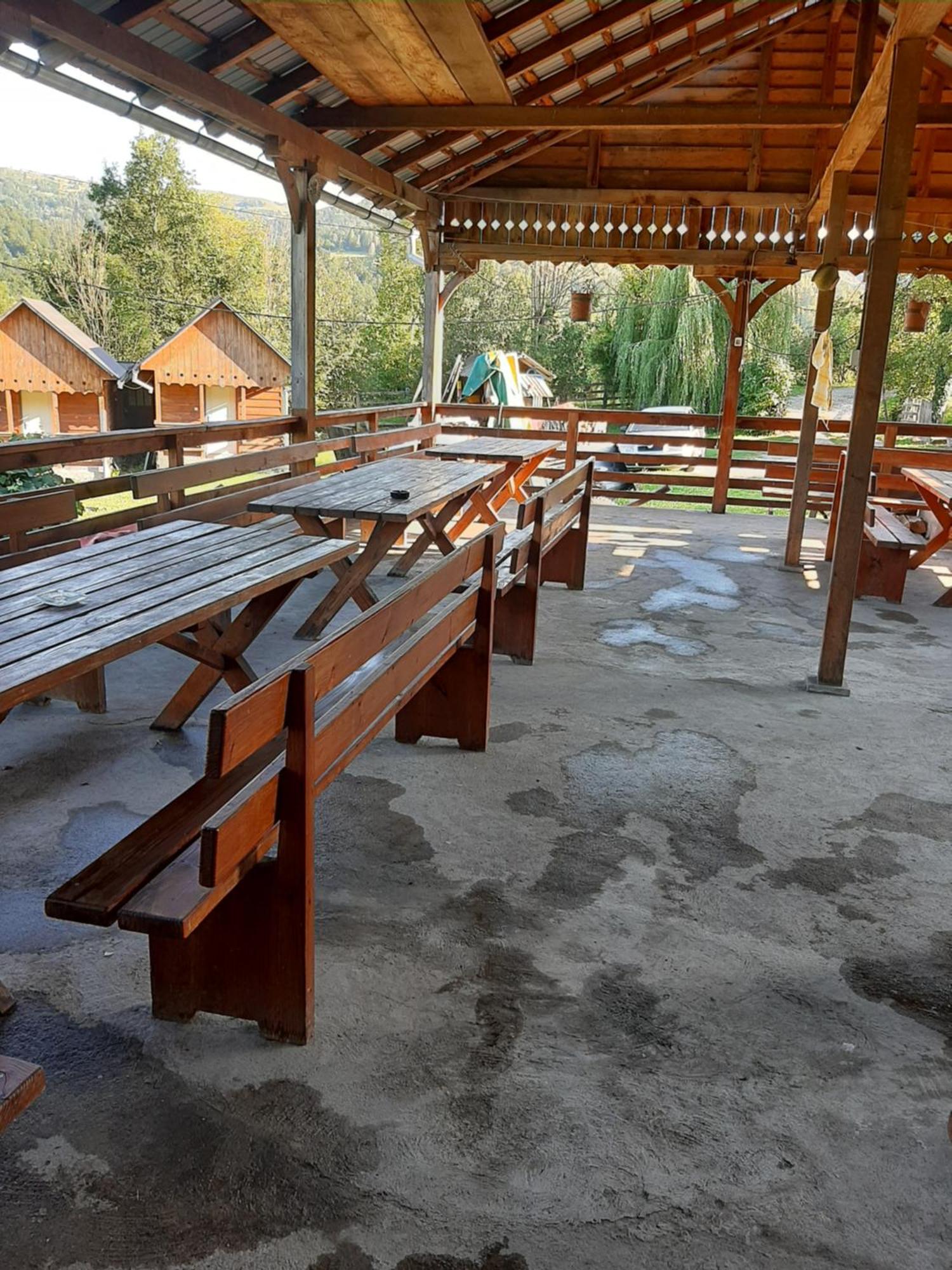 Pensiunea Codru Sălciua de Jos Exterior photo